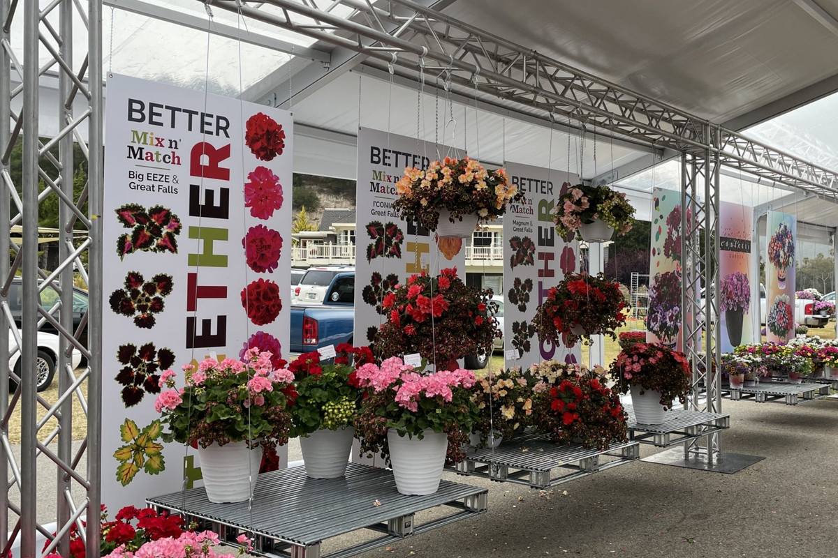 Ground-supported truss structure carrying hanging displays and banners at an outdoor event