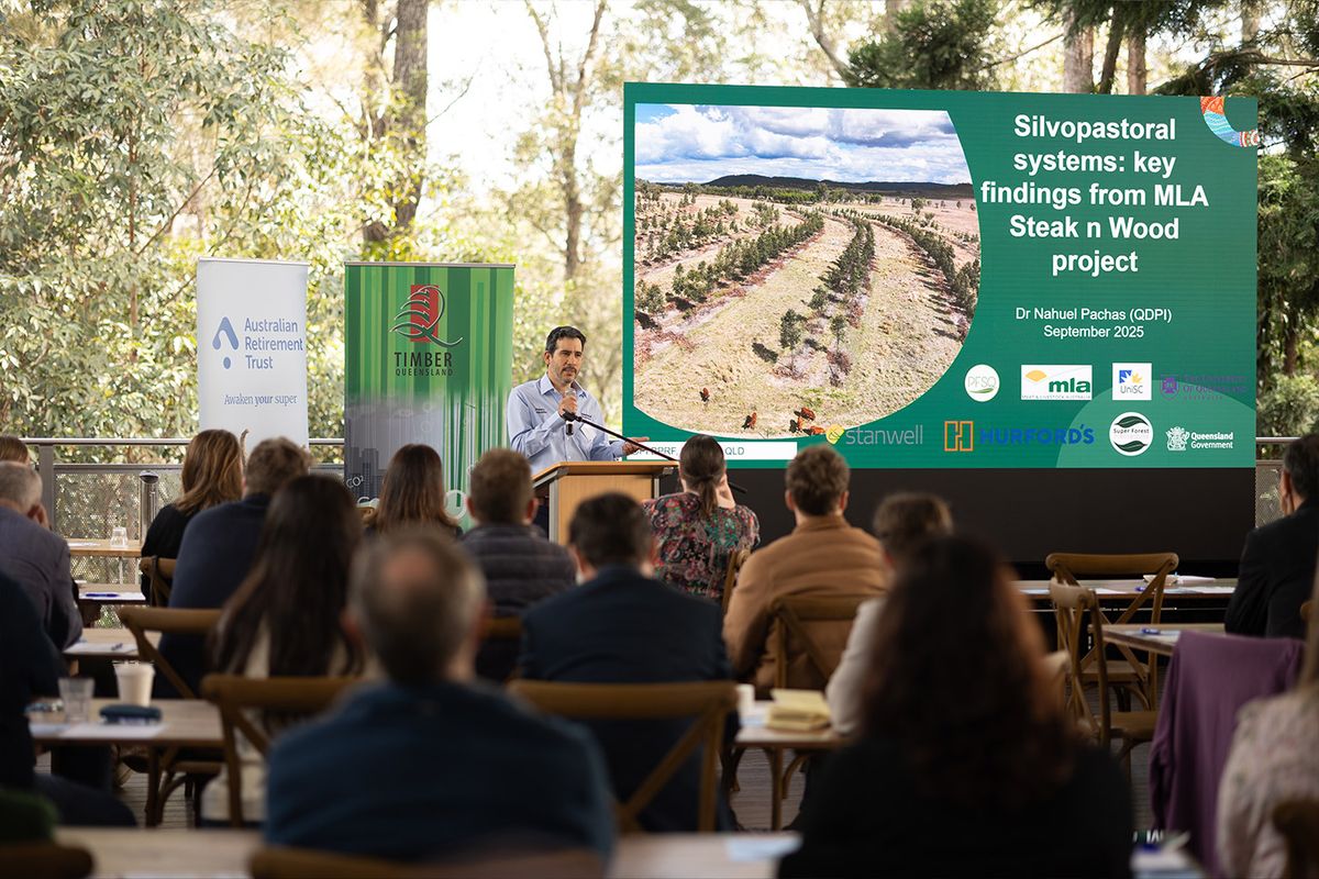 Presenter at a lectern beside a large LED screen at an outdoor conference, with the audience seated at tables